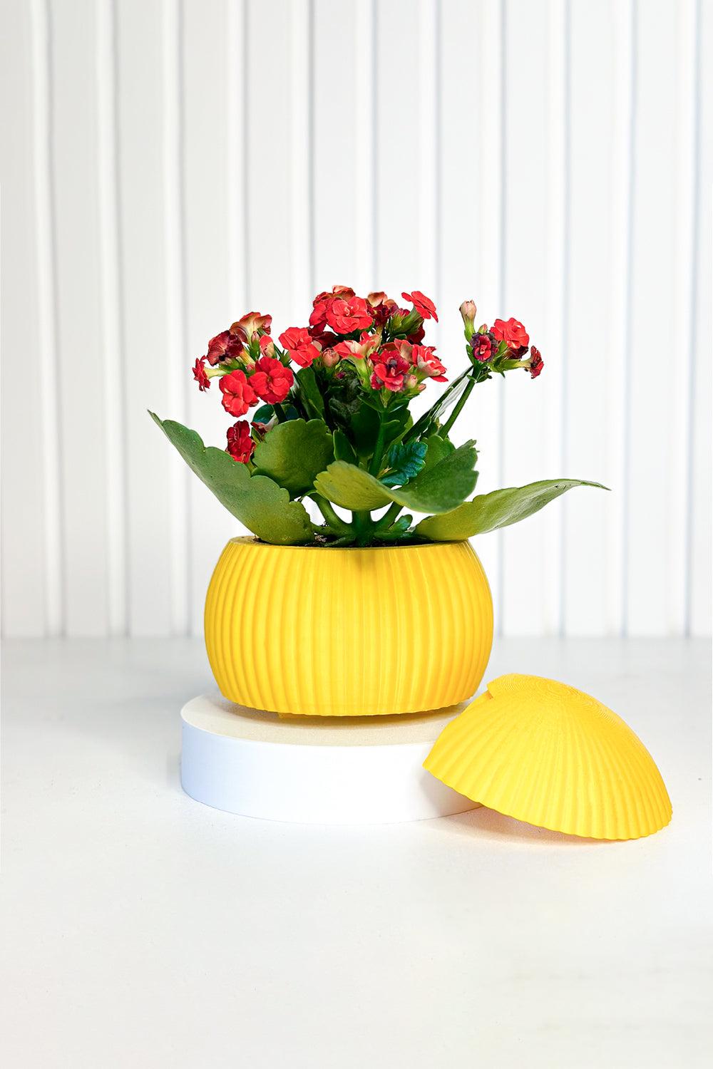 Hue Nest Mini Duvar Saksısı-Saksı-Tou Workshop-sarı-NowShopFun