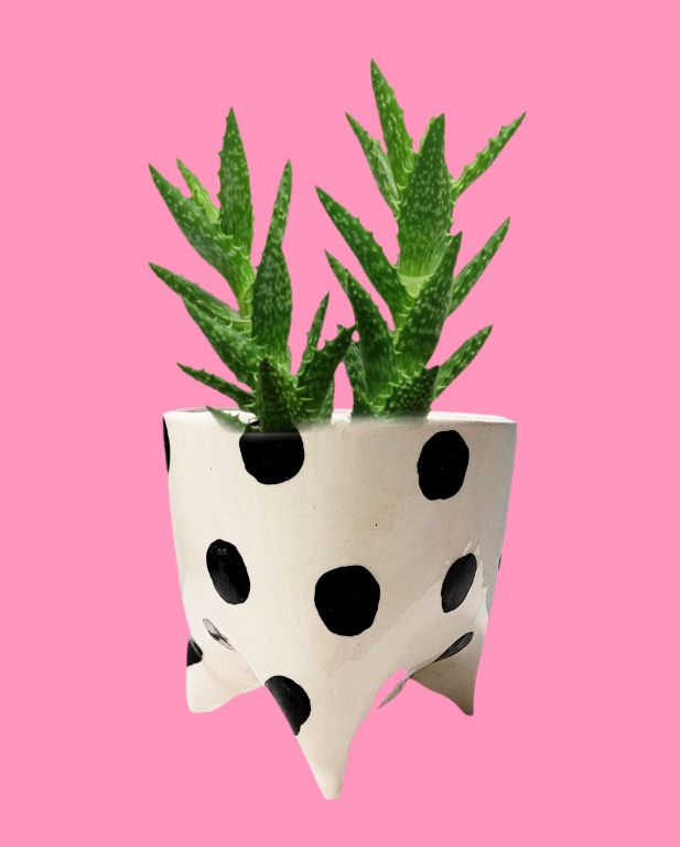 Black and White Footed Ceramic Flower Pot