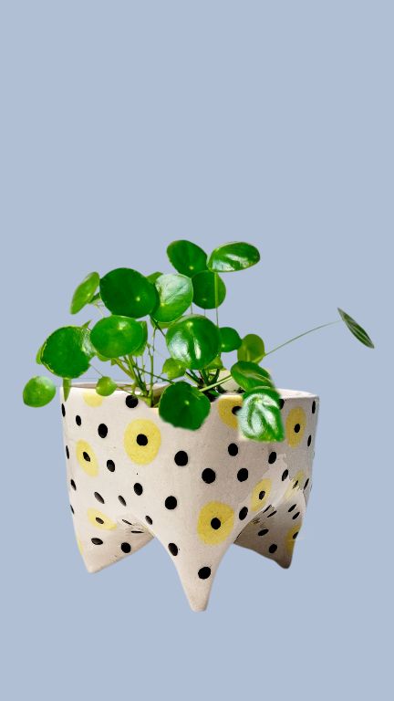 Black and White Footed Ceramic Flower Pot