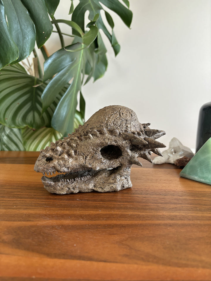 Pachycephalosaurus Mini Seramik Heykel