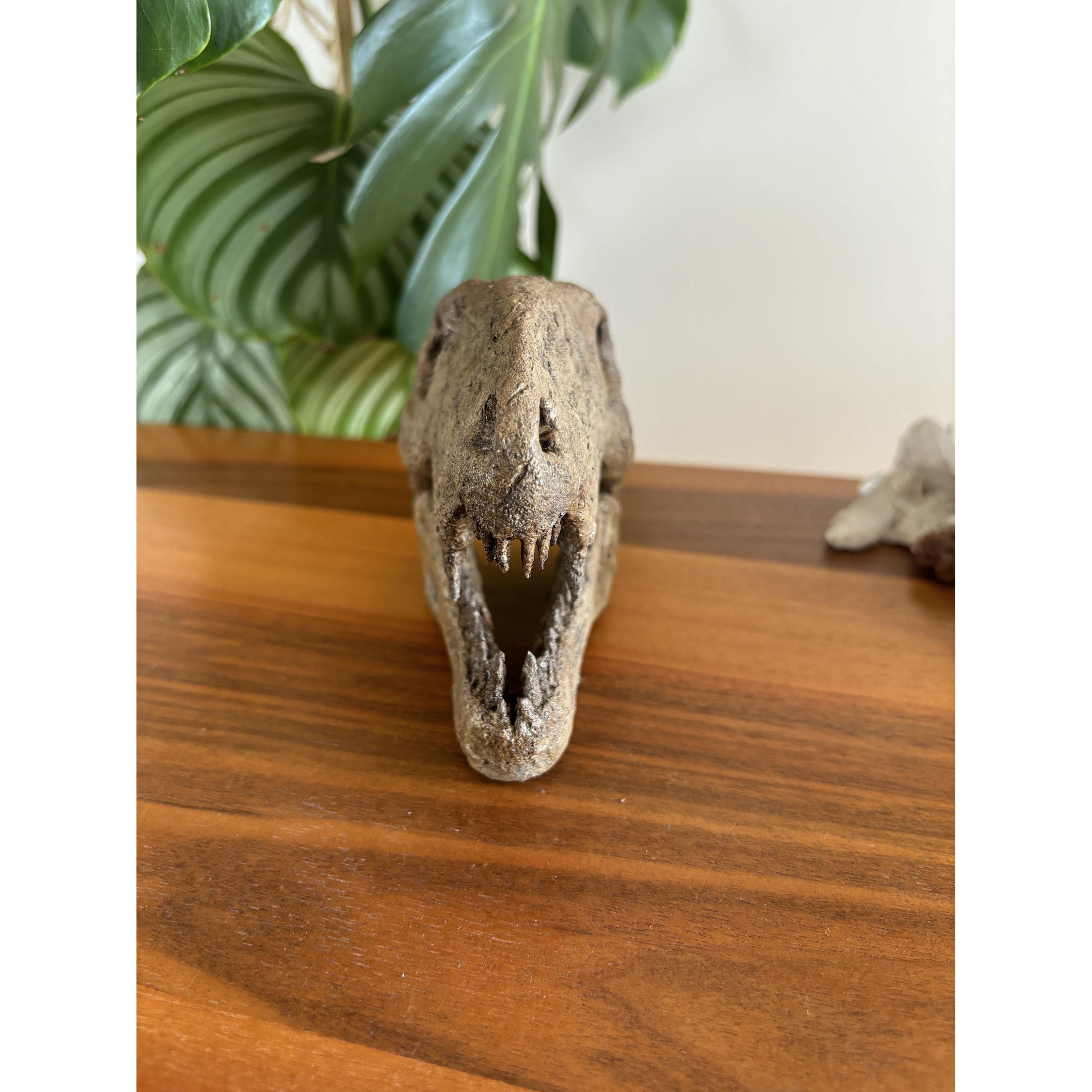 Dimetrodon Mini Seramik Heykel