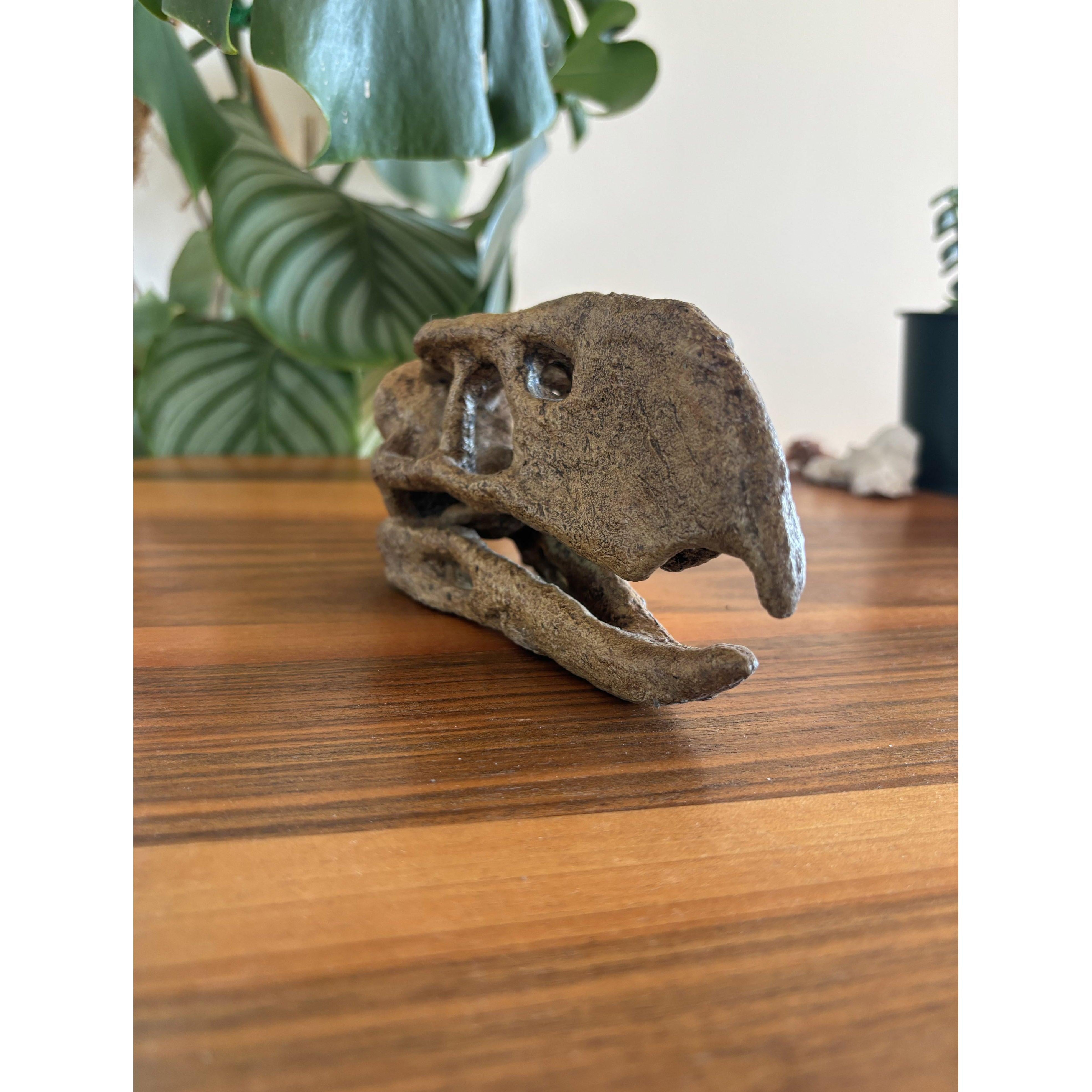 Terror Bird Mini Seramik Heykel