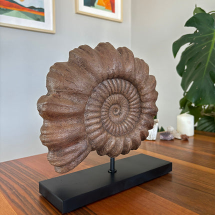 Ammonite Fosil Heykeli