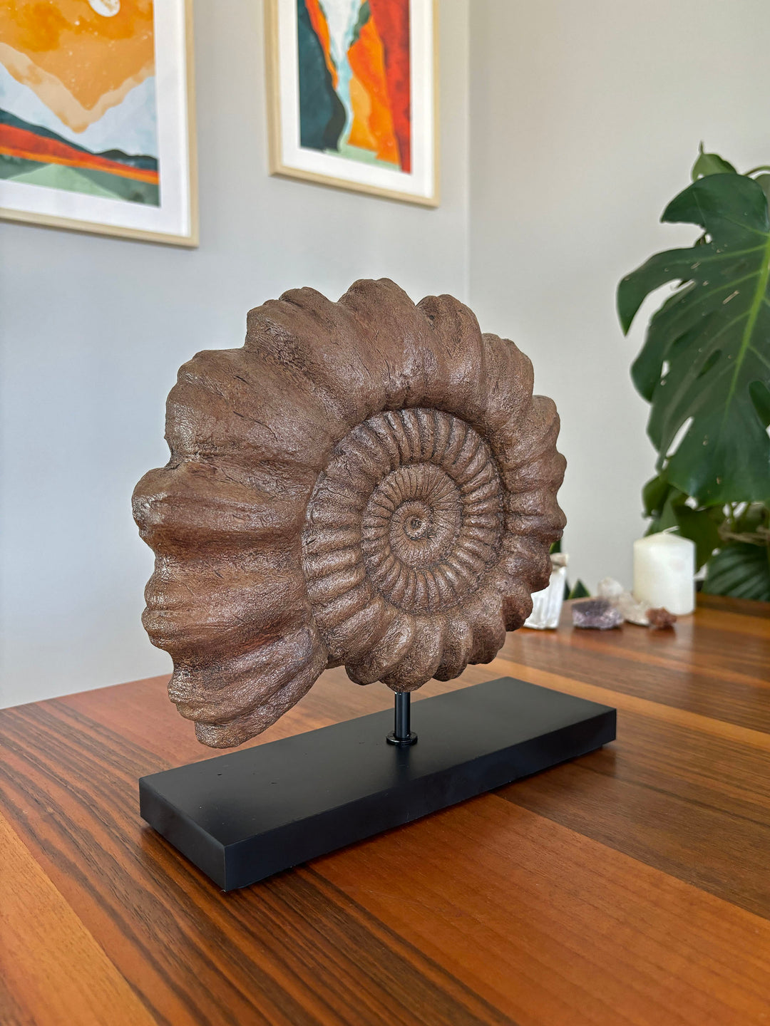 Ammonite Fosil Heykeli