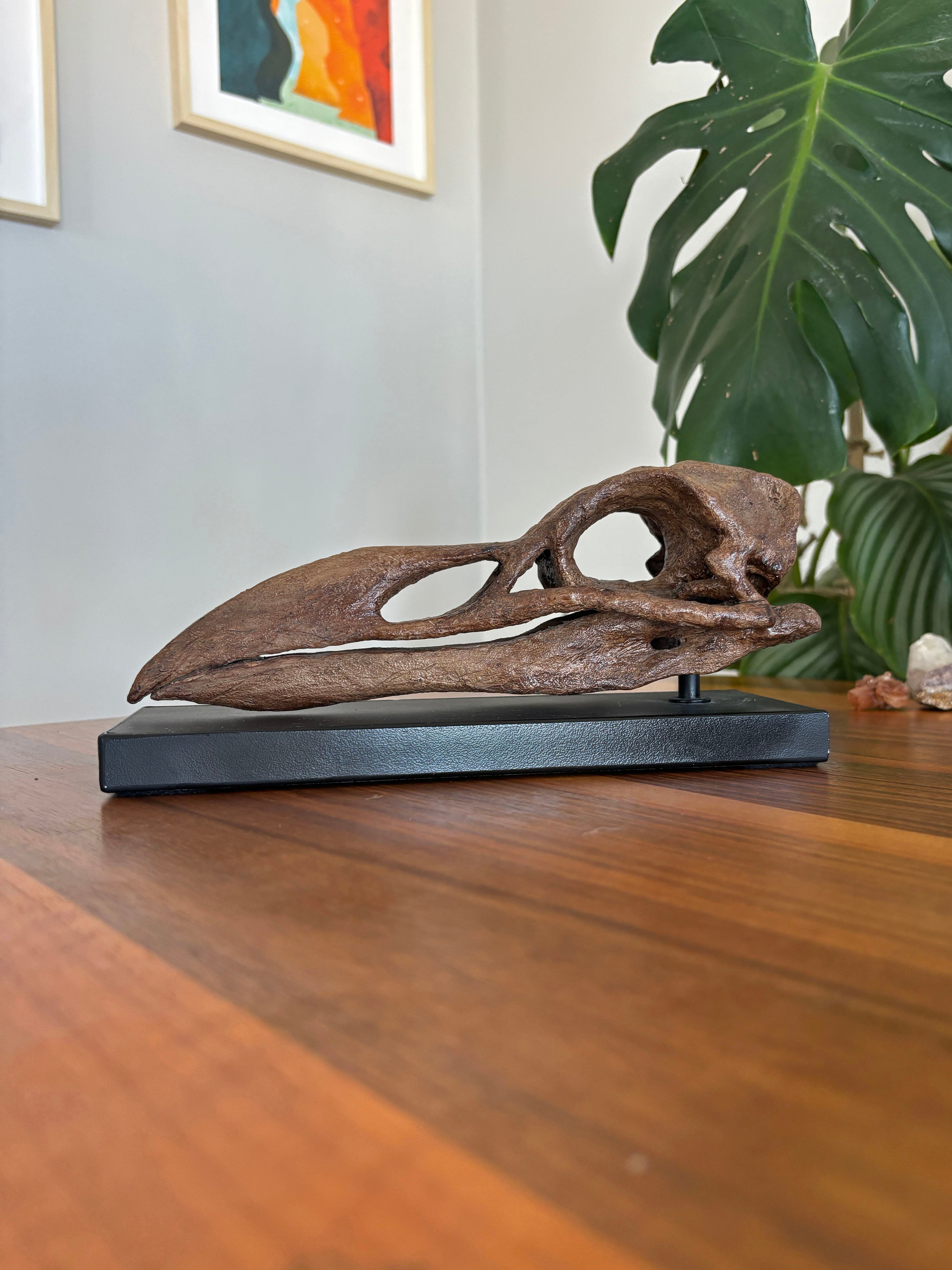 Great Auk Fosil Heykeli