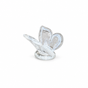 Kaideli Dekoratif Cam Kelebek Obje-Dekoratif Ürün-Garni Design House-BEYAZ-NowShopFun