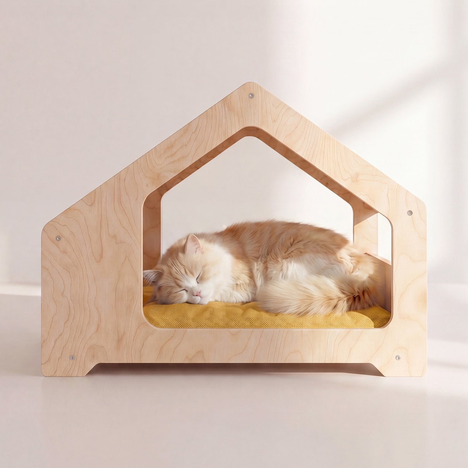 Patty Sarı Kedi Evi