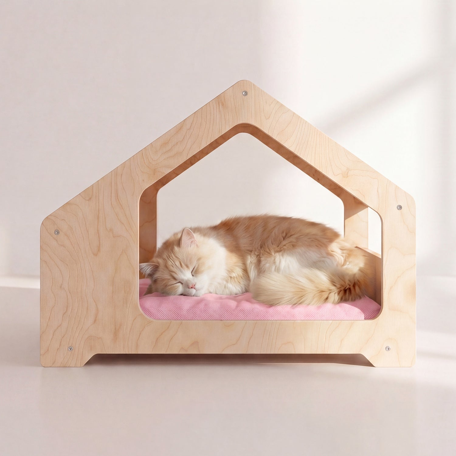 Patty Pembe Kedi Evi