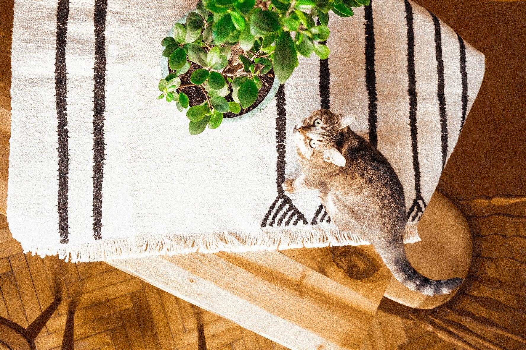 Kendır El Dokuma Upcycle Hemp Kilim