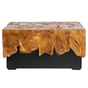 Orta Sehpa Teak / Siyah Metal Kare Form