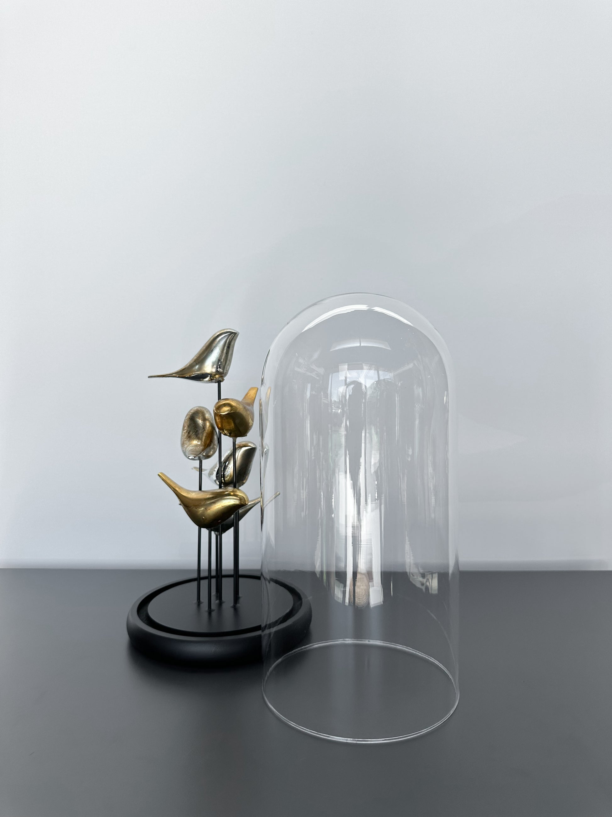 Kuşlu Fanus Dekoratif Obje