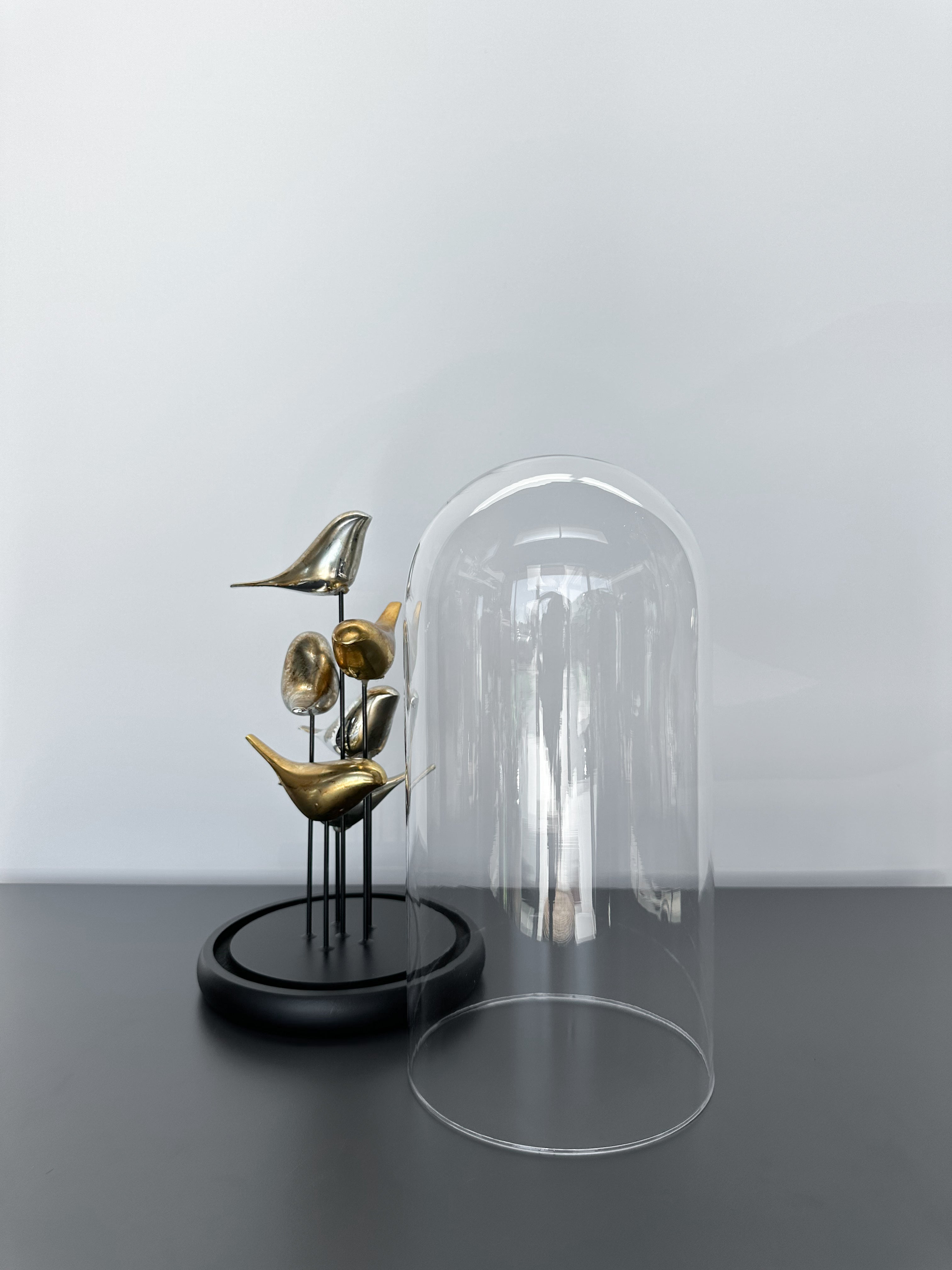 Kuşlu Fanus Dekoratif Obje