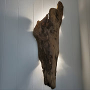 Legno Luce Özel Üretim Gerçek Ağaç Tasarımlı Ledli Doğal Ahşap Kütük Aplik