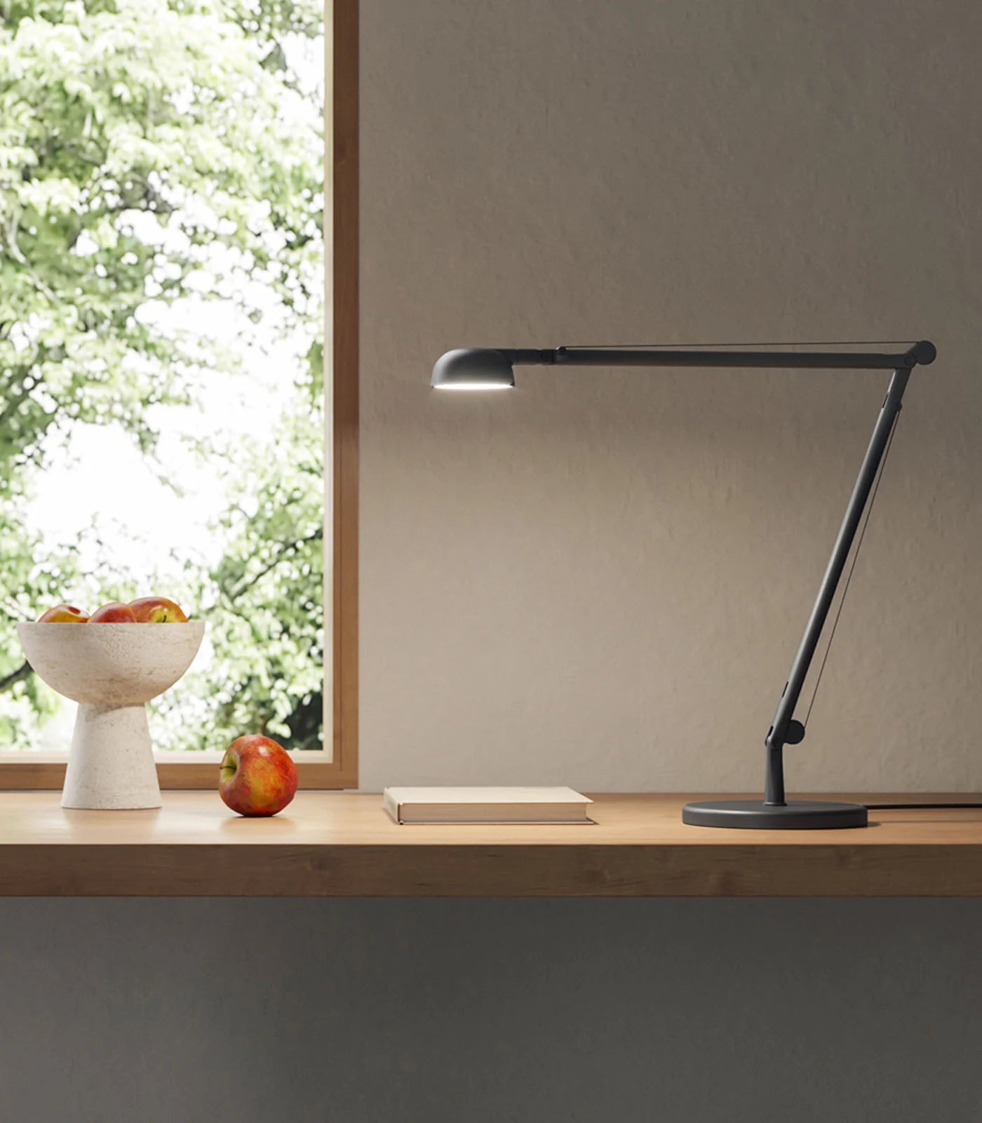 Opuntia Mat Siyah Masa Lambası