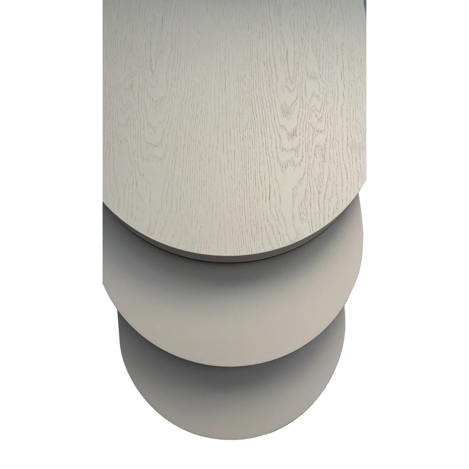 Lion Zigon Sehpa Set