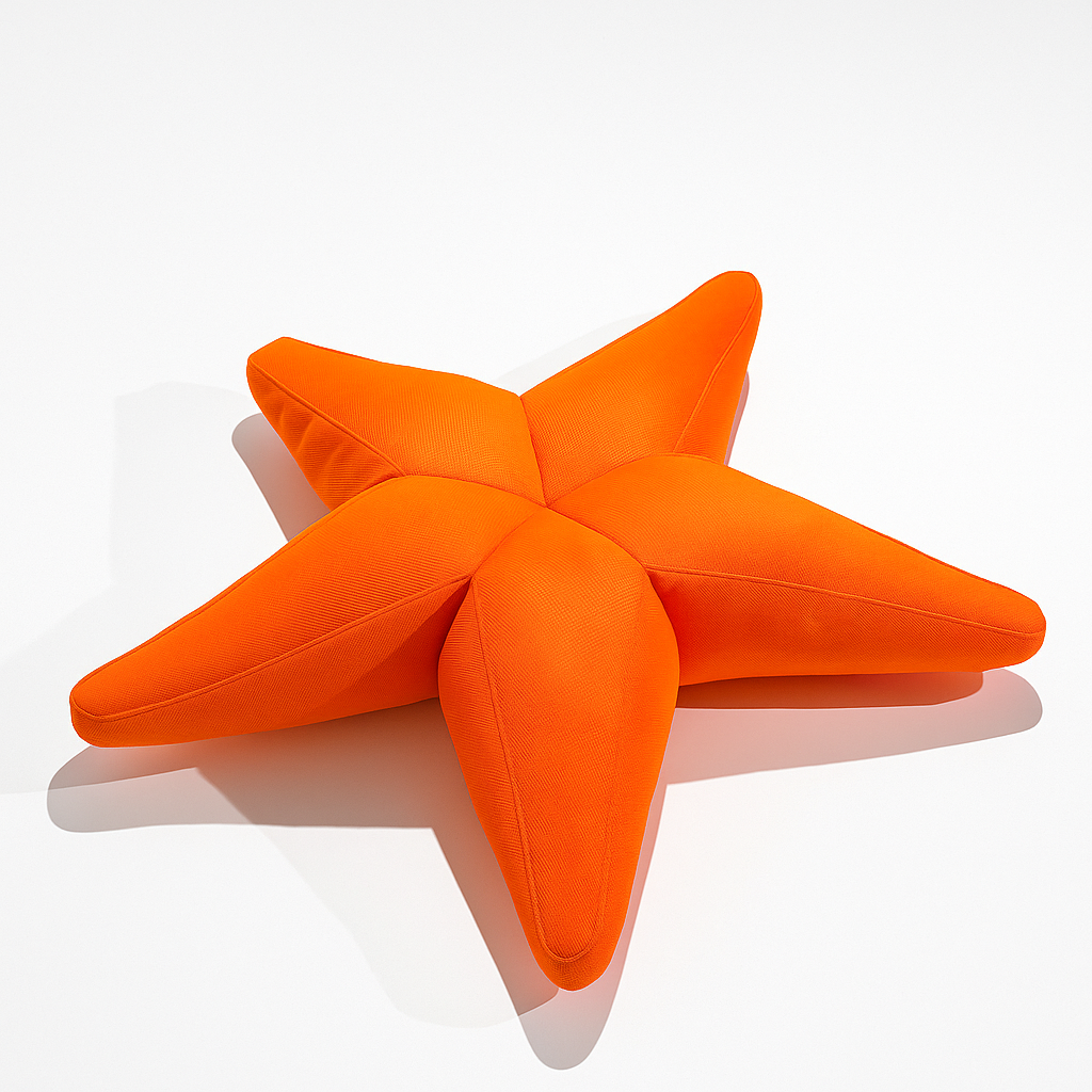Livingstore Starfish Havuz, Deniz Ve Dış Mekan Pufu | Bahçe Kullanımına Uygun Puf Minder