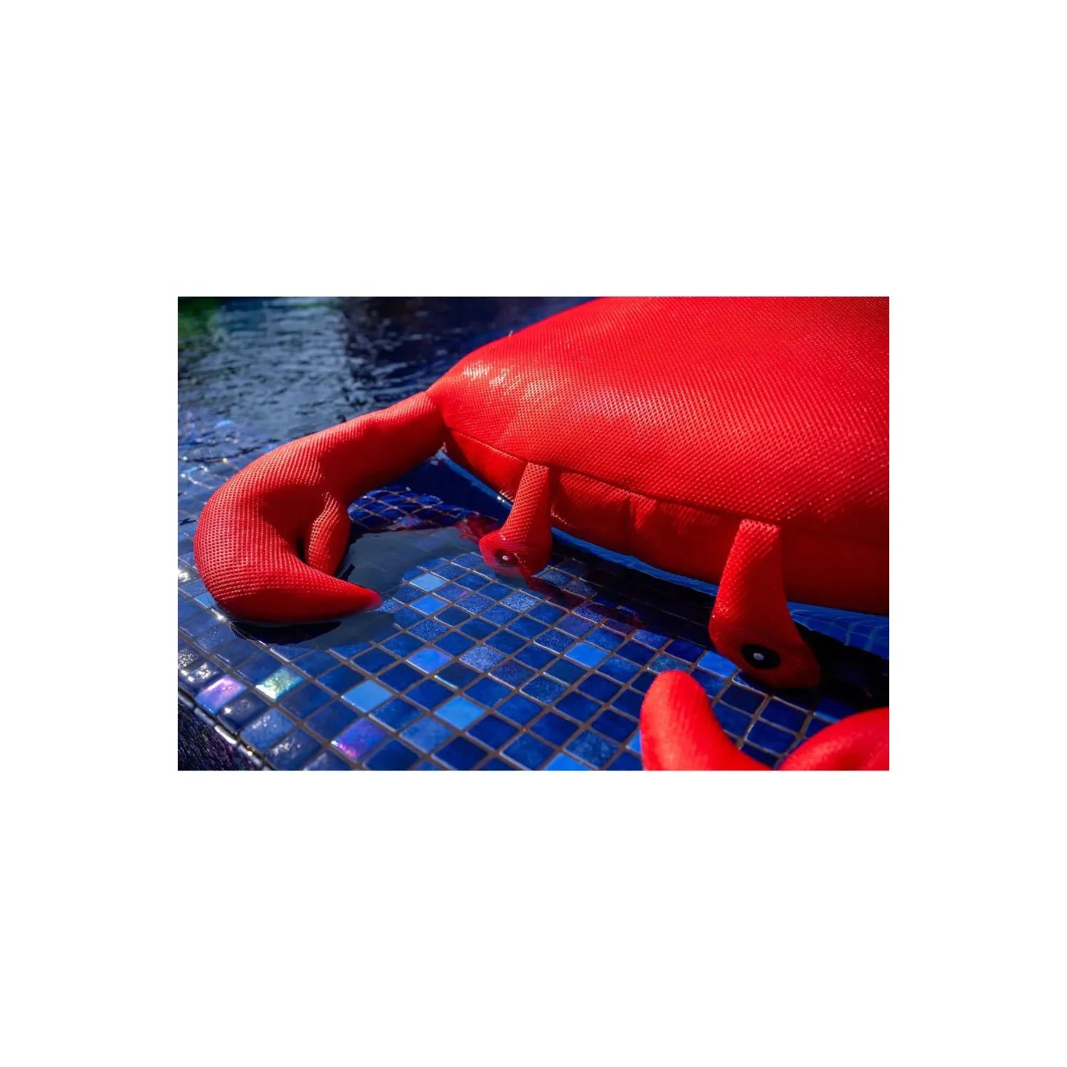 Livingstore Yengeç İnteraktif Havuz & Deniz Oyuncağı | Çocuklar İçin Eğlenceli Yüzen Minder