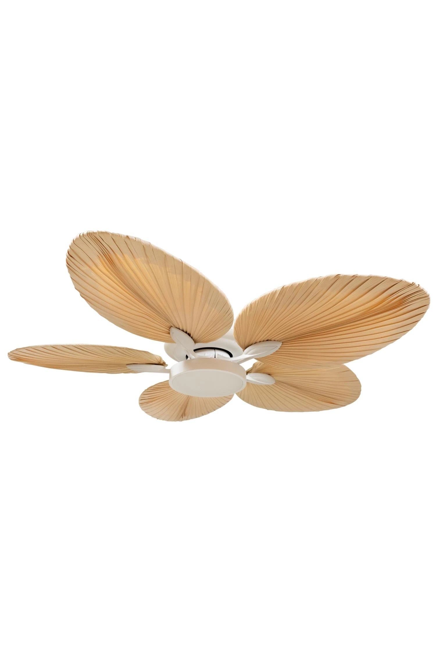 Lora Aydınlatmalı Tavan Vantilatörü No:1