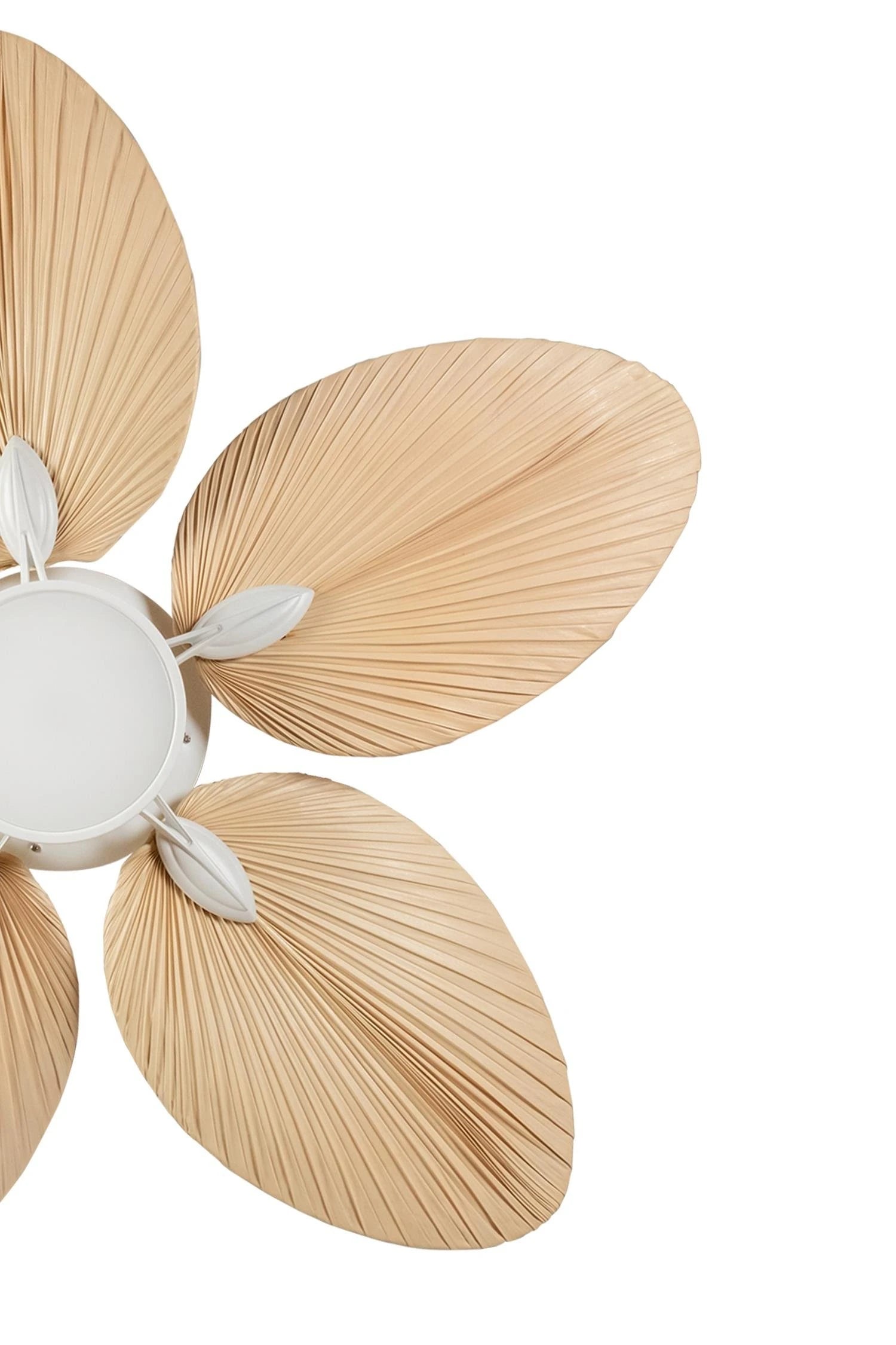 Lora Aydınlatmalı Tavan Vantilatörü No:1