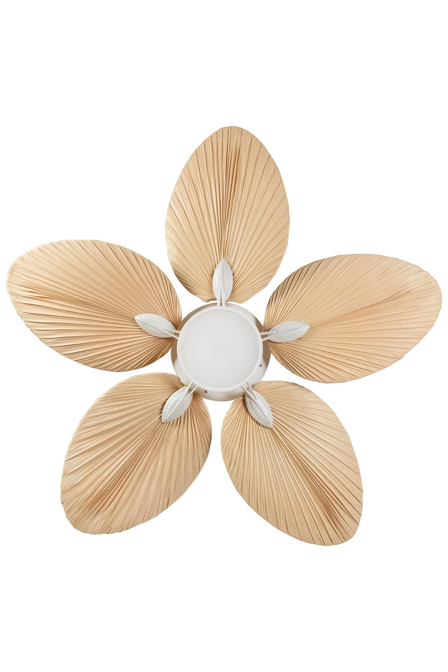 Lora Aydınlatmalı Tavan Vantilatörü No:1