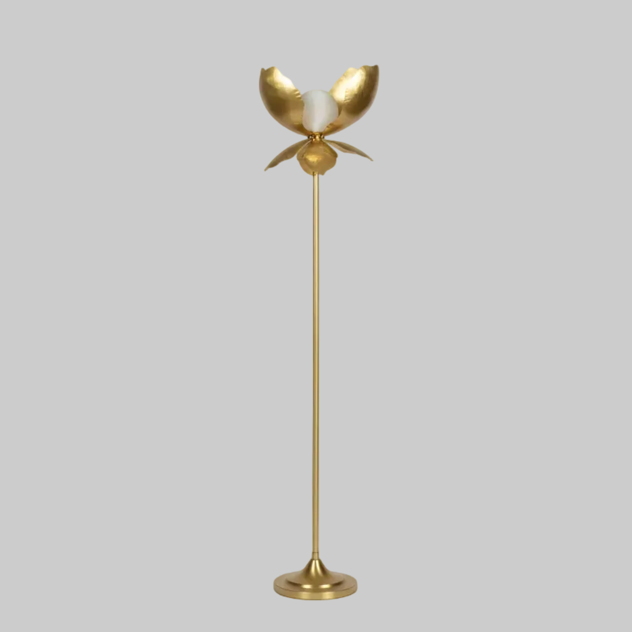 Manolya Lamba-Lambader-Esvednâme-NowShopFun