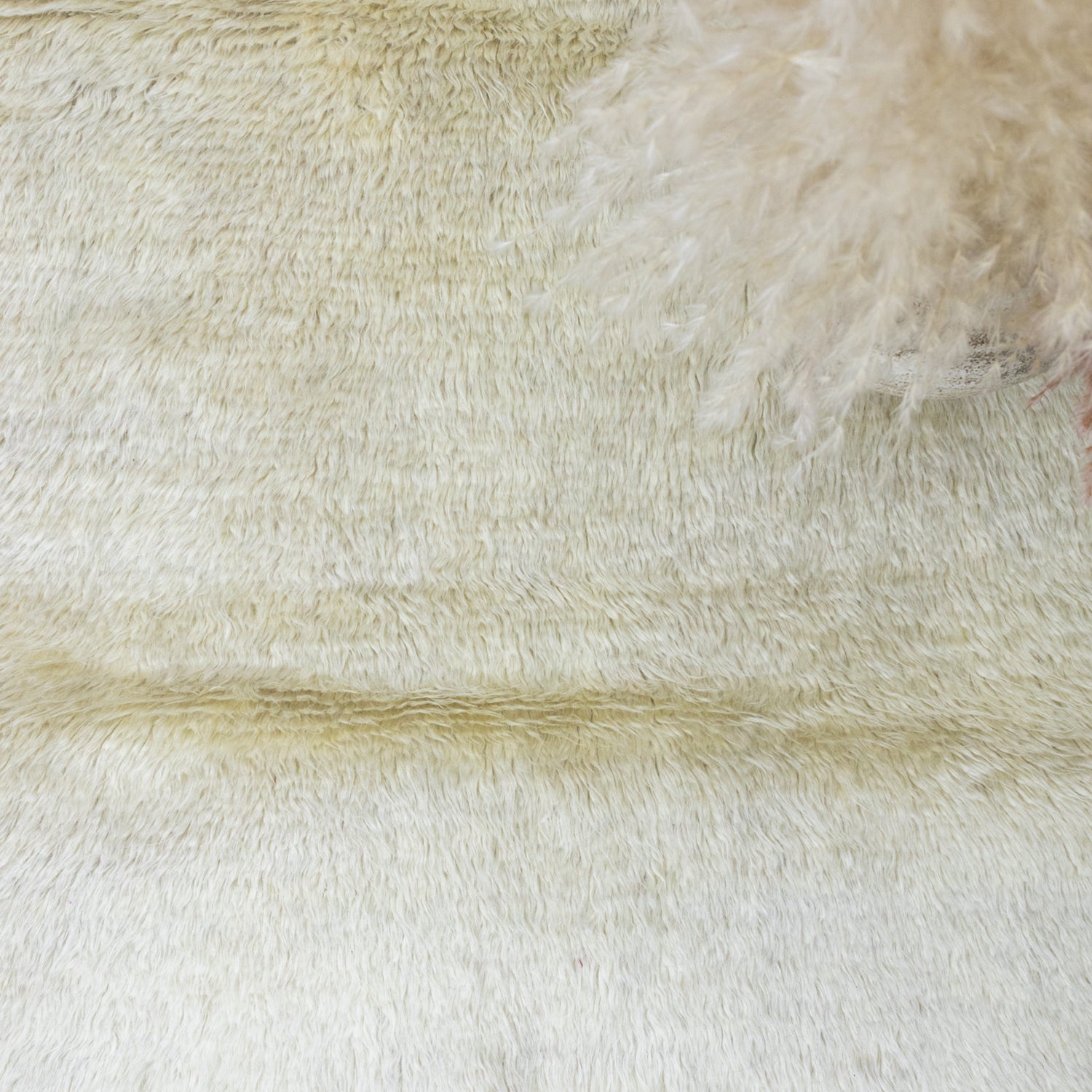 Mayar Bordürlü Natural Shaggy Halı 131x170 cm