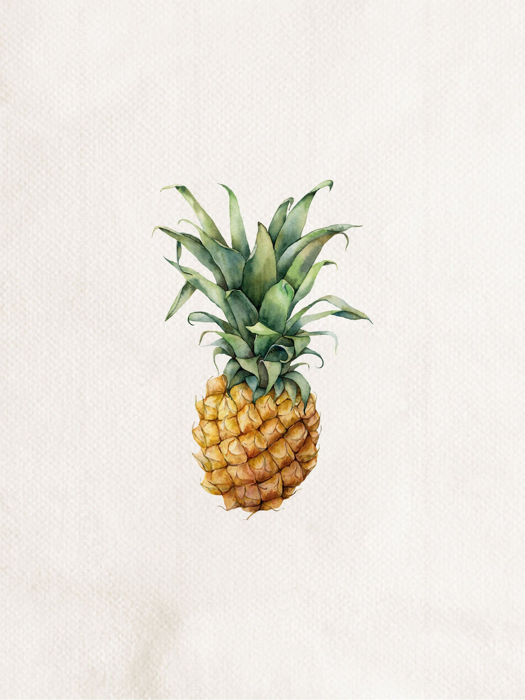 Meyve Tabak - Ananas-Tabak-Fusska-NowShopFun