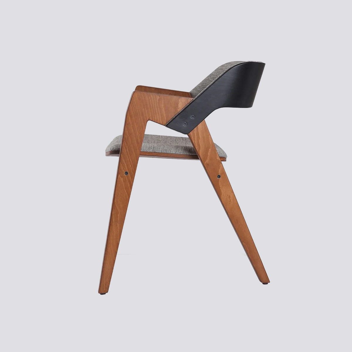 Nest Sırt Saydam Siyah Gövde Açık Ceviz