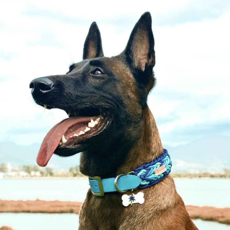 Ocean Wave Paracord Köpek Boyun Tasması