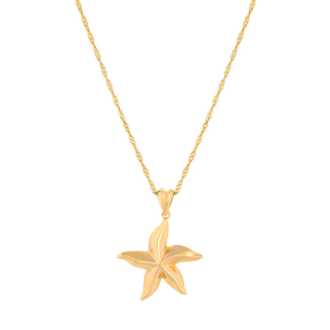 Oceanıe Yıldız Kolye-Kolye-Cassia Jewelry-NowShopFun