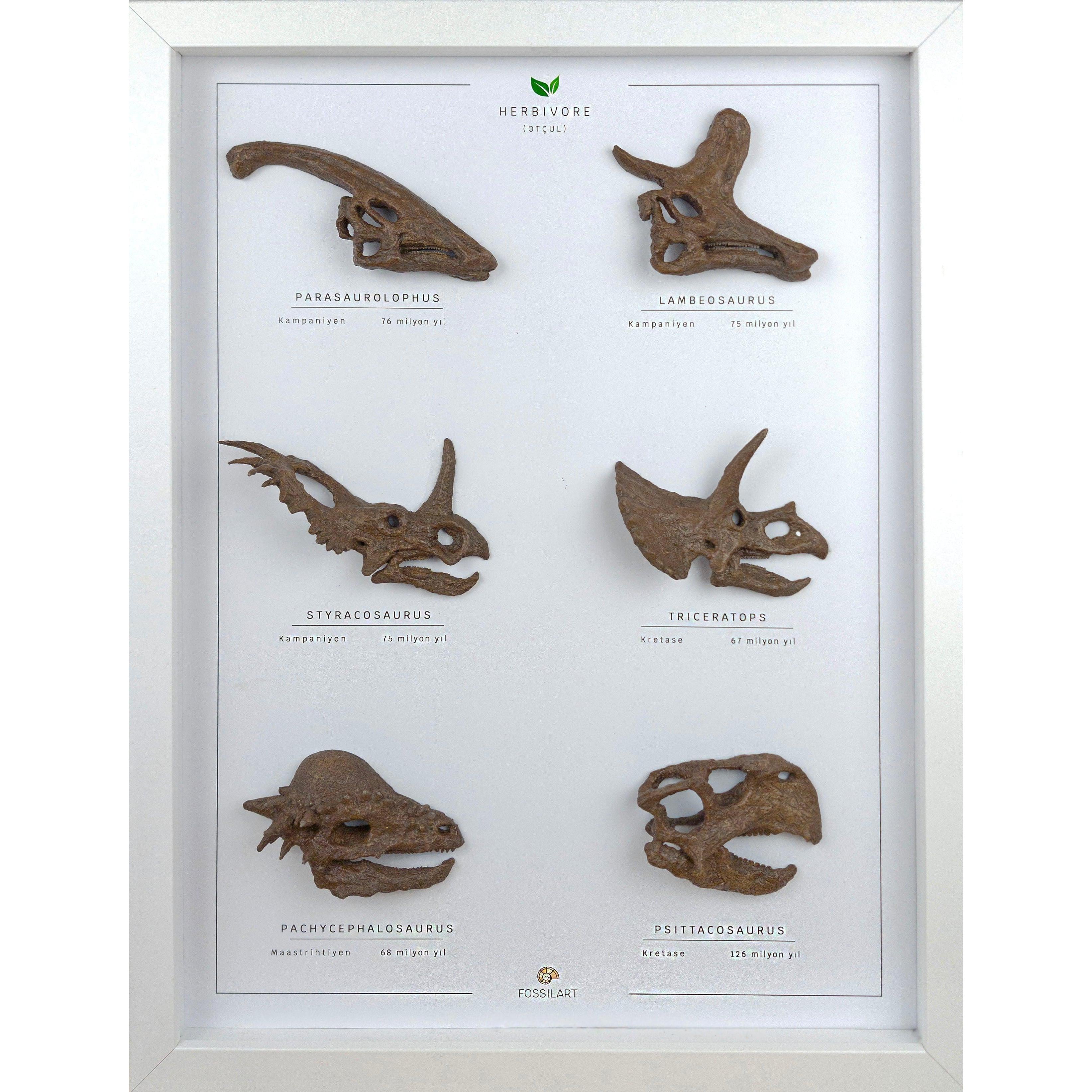 Otobur Dinozorlar 3 Boyutlu Çerçeve Tasarım