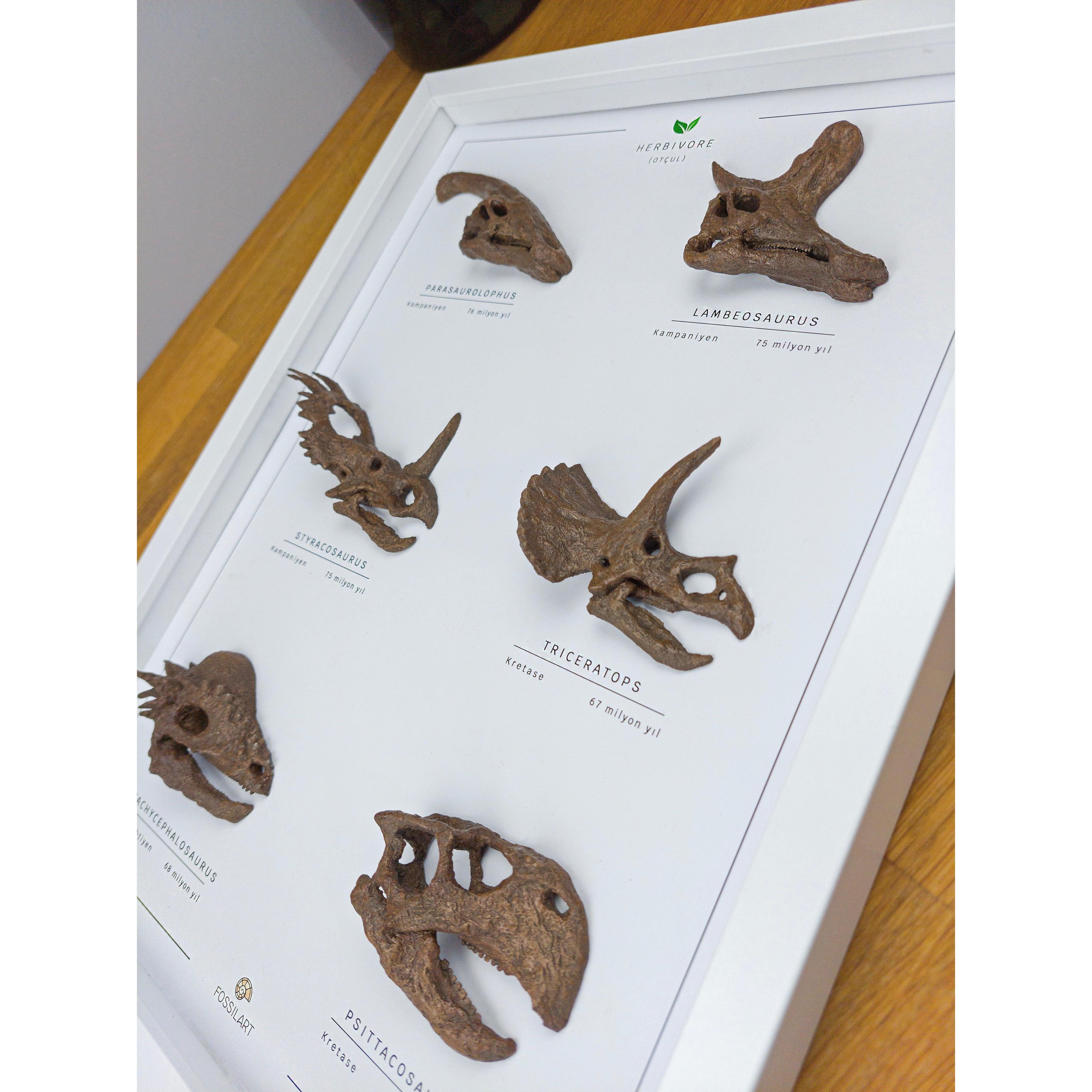 Otobur Dinozorlar 3 Boyutlu Çerçeve Tasarım