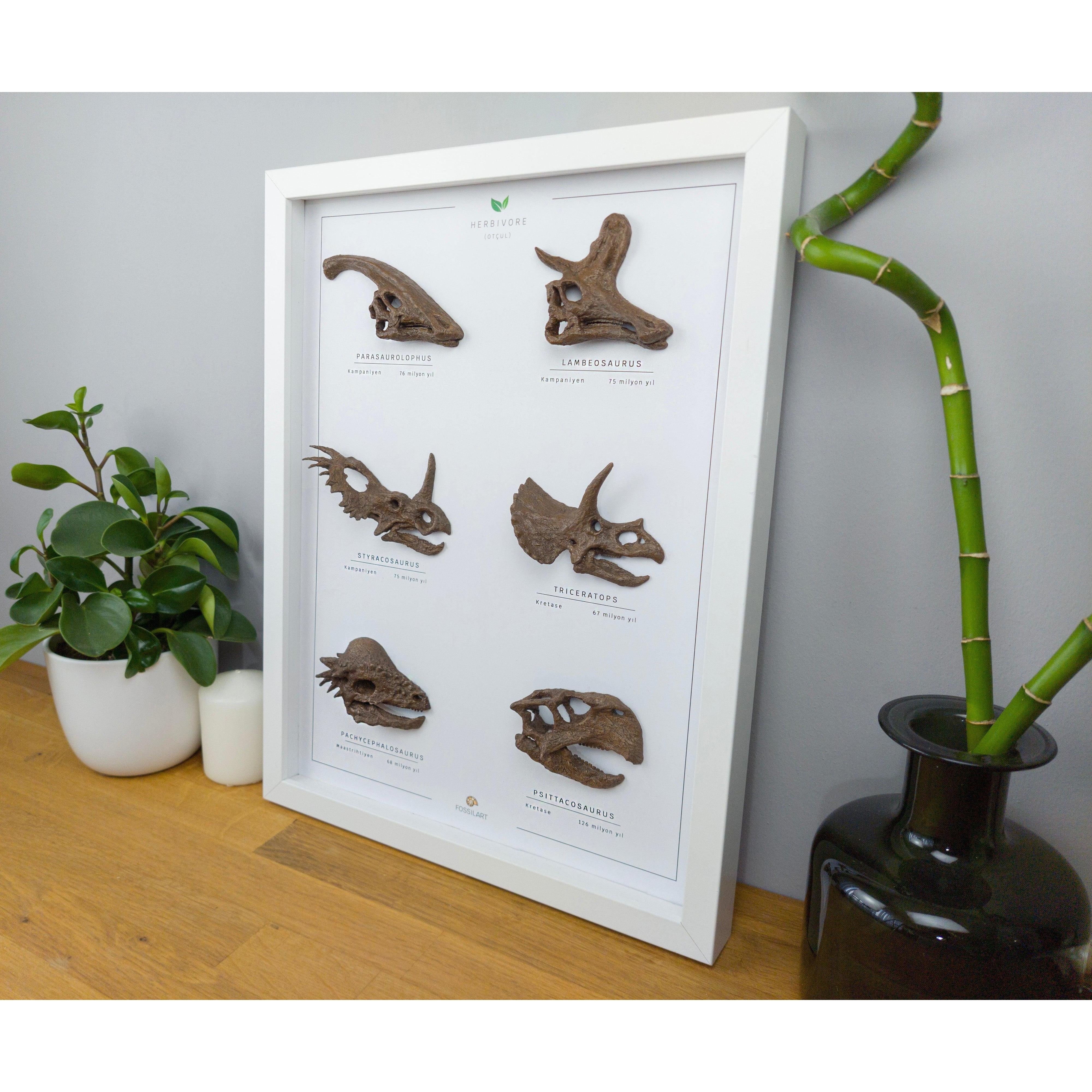 Otobur Dinozorlar 3 Boyutlu Çerçeve Tasarım