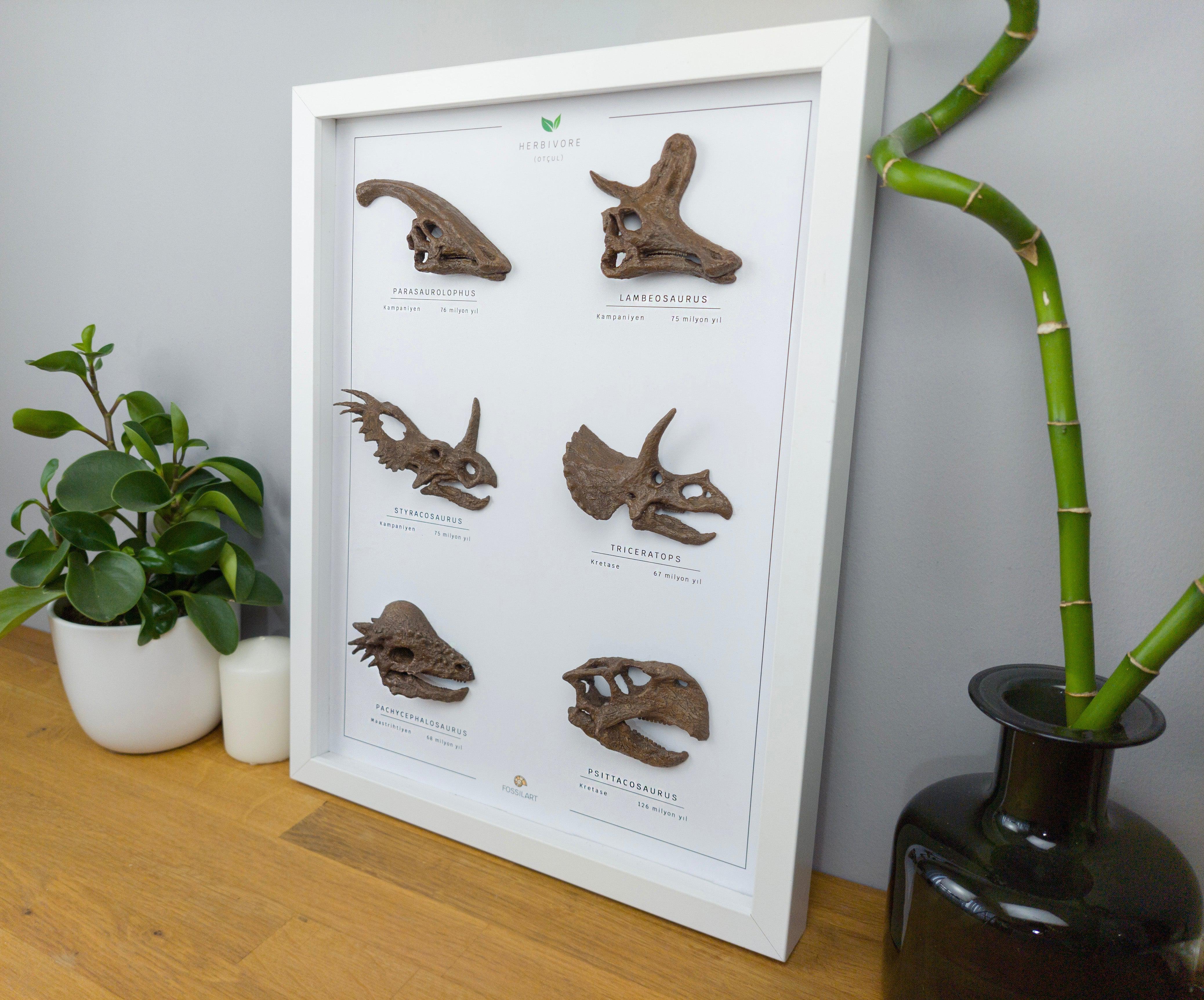 Otobur Dinozorlar 3 Boyutlu Çerçeve Tasarım