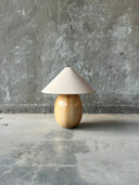 Ovoid Abajur