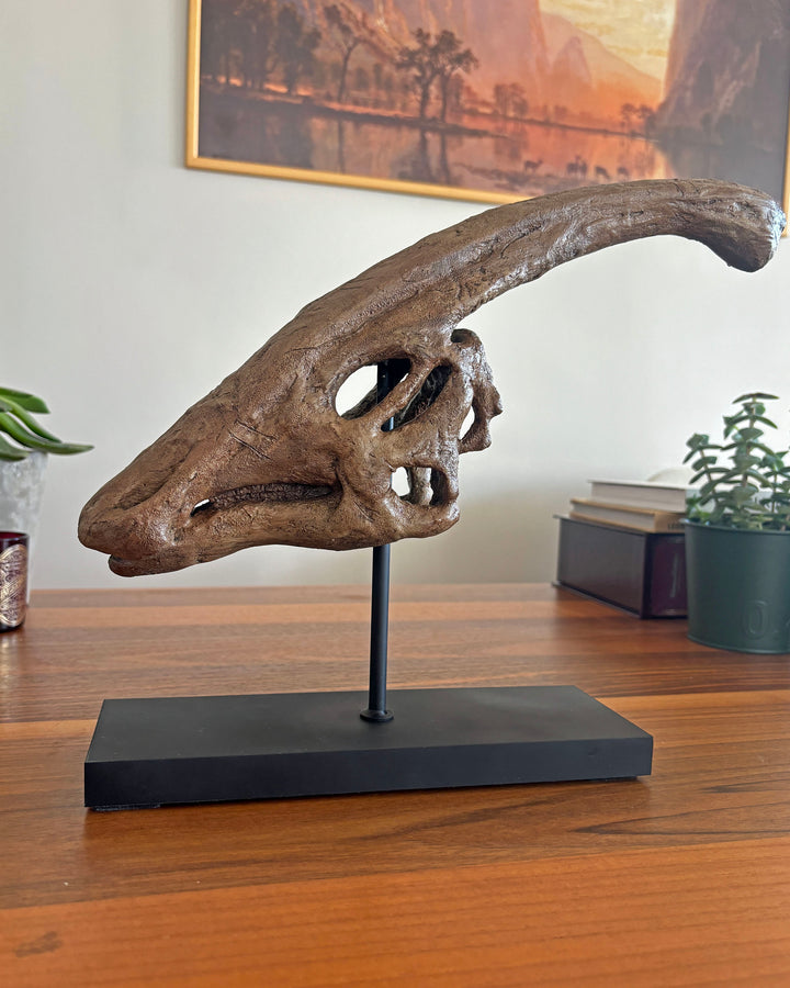 Parasaurolophus Fosil Heykeli