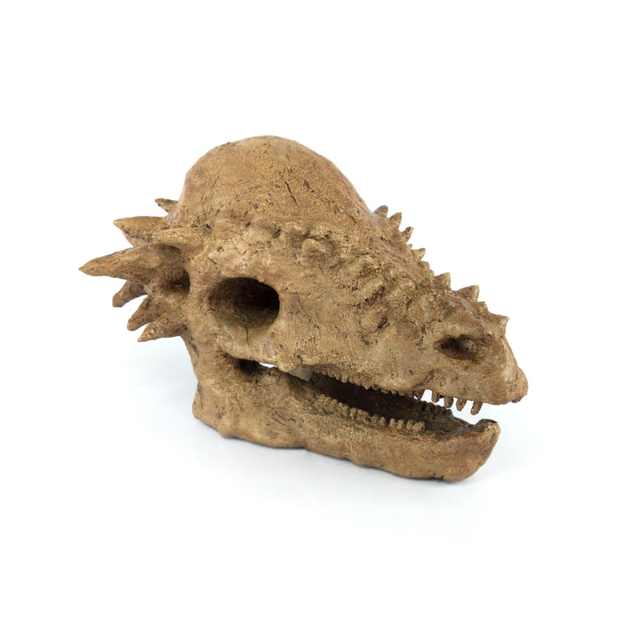 Pachycephalosaurus Mini Seramik Heykel