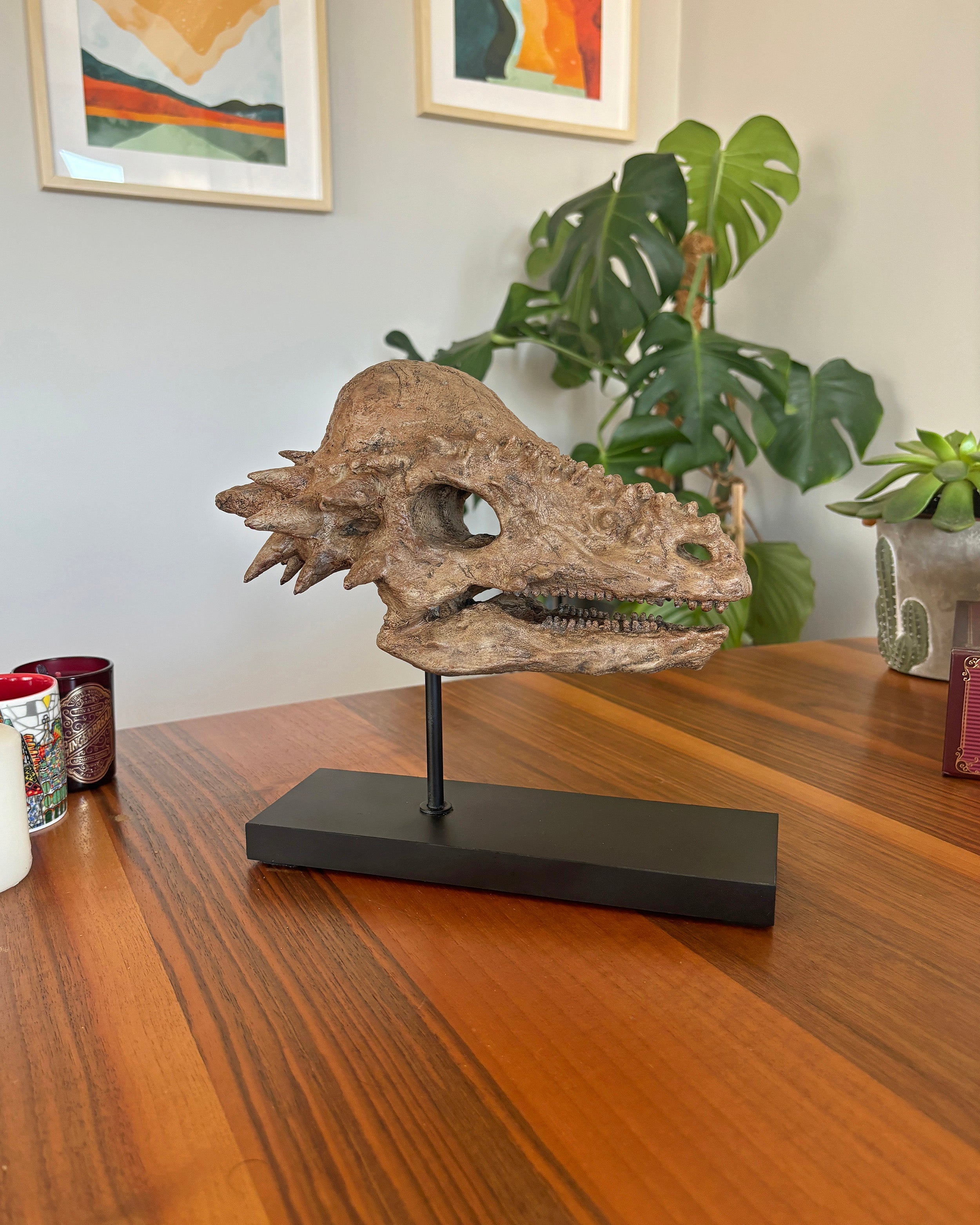 Pachycephalosaurus Fosil Heykeli