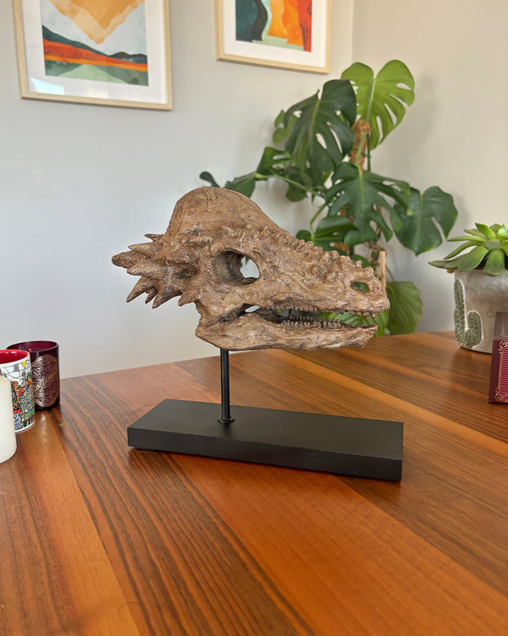 Pachycephalosaurus Fosil Heykeli-Heykel-The Fossil Art-NowShopFun