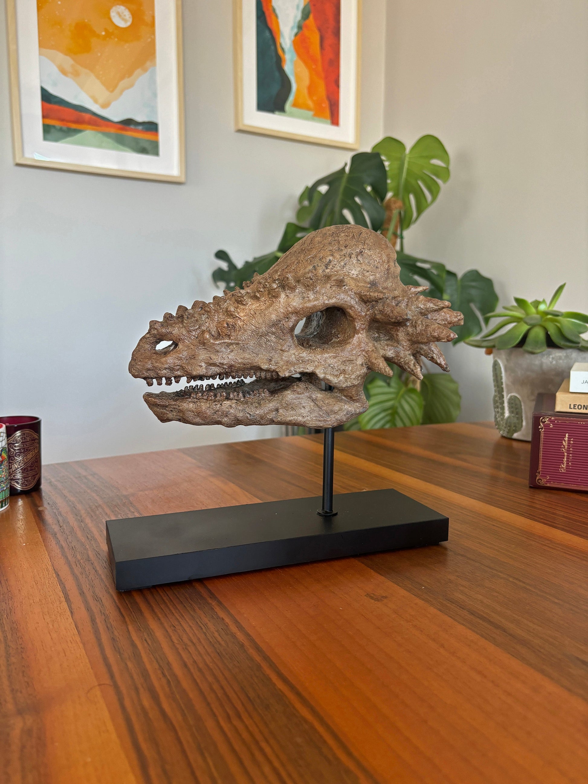 Pachycephalosaurus Fosil Heykeli