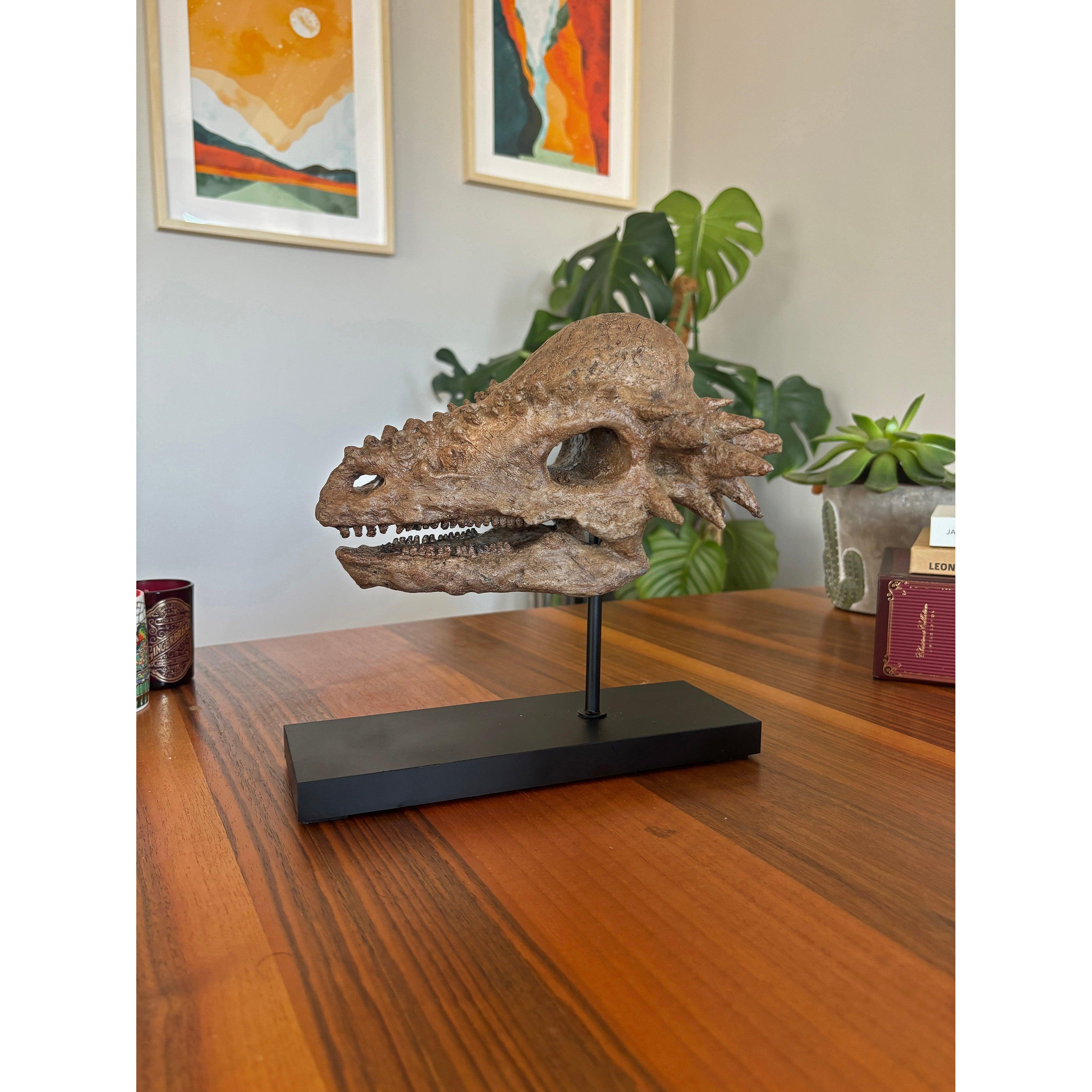 Pachycephalosaurus Fosil Heykeli