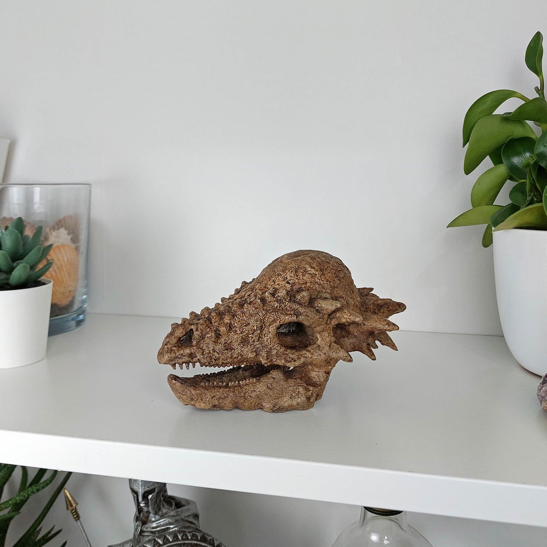 Pachycephalosaurus Mini Seramik Heykel-Heykel-The Fossil Art-NowShopFun