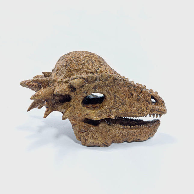 Pachycephalosaurus Mini Seramik Heykel-Heykel-The Fossil Art-NowShopFun
