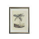 Palm Tablo Seti