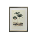 Palm Tablo Seti