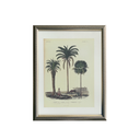 Palm Tablo Seti