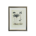 Palm Tablo Seti