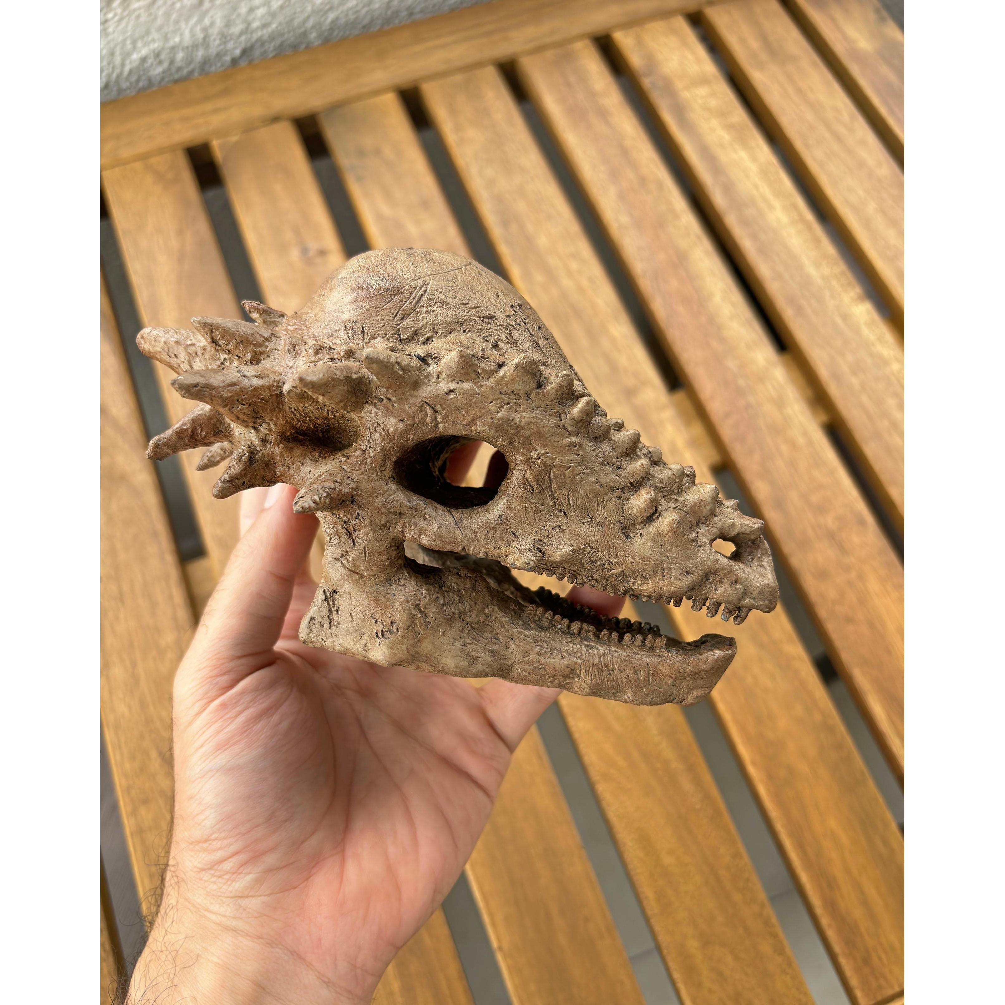 Pachycephalosaurus Mini Seramik Heykel