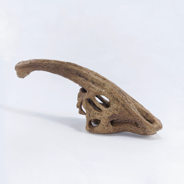 Parasaurolophus Mini Seramik Heykel-Heykel-The Fossil Art-NowShopFun