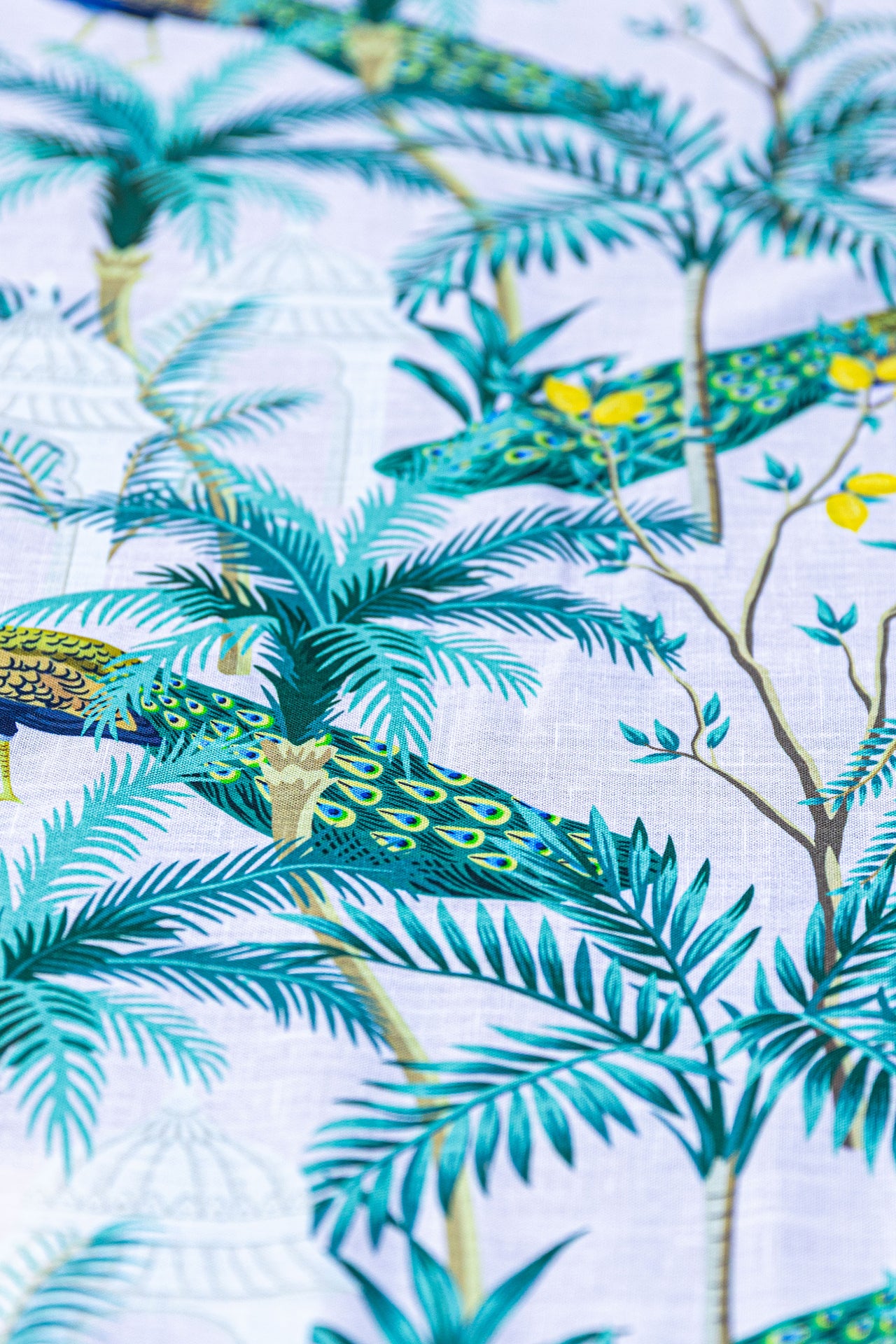 Peacock Grace Runner